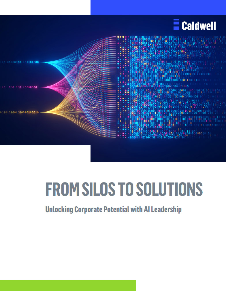 From Silos to Solutions: Unlocking Corporate Potential with AI Leadership; AI Leaders